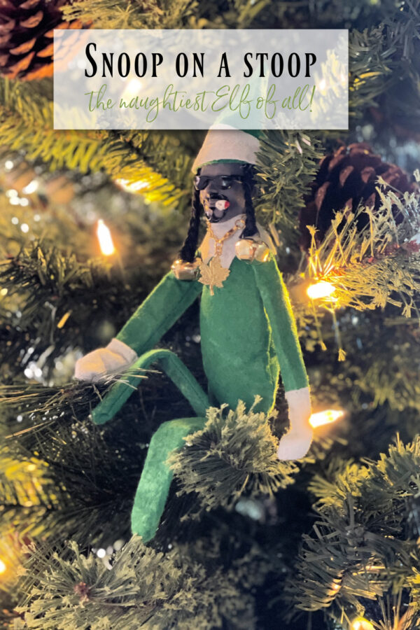 18 Insane Elf On The Shelf Mischievous Ideas 