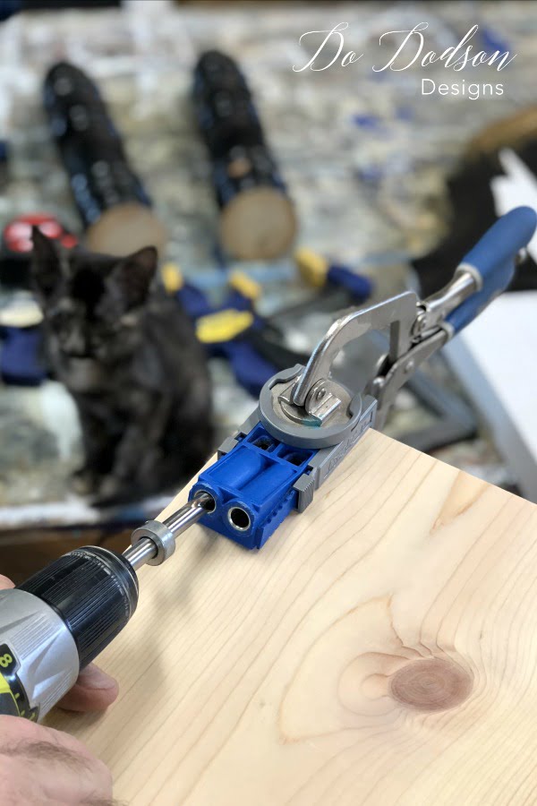 The Kreg Jig pocket hole kit was the perfect tool when building my bench. 