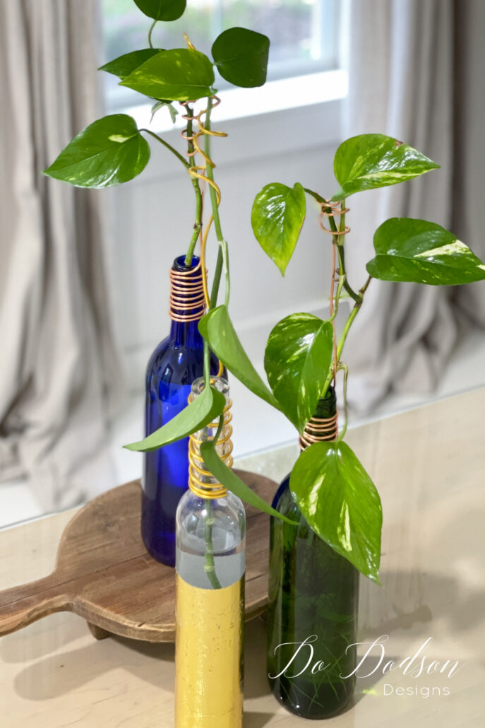 How To Cut Glass Bottles: Turn A Beer Bottle Into A Flower Vase